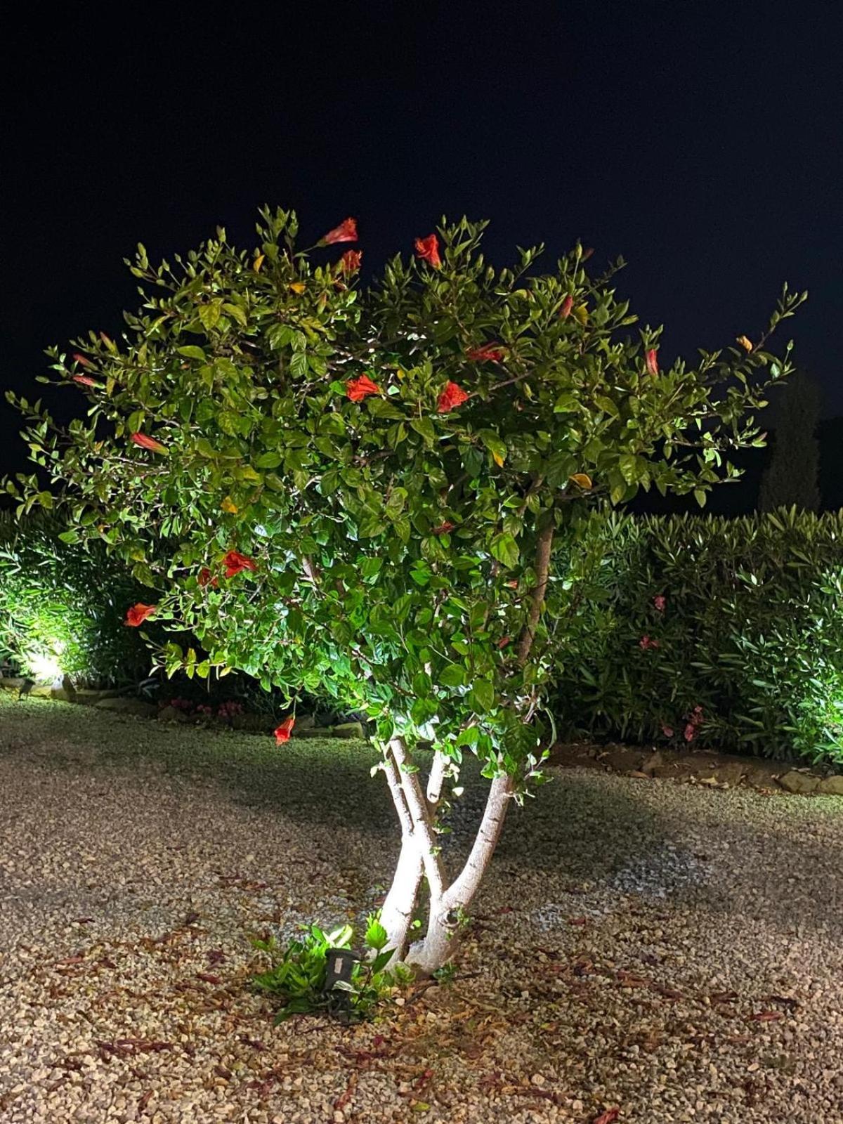 Finca Angelita Torrox Buitenkant foto